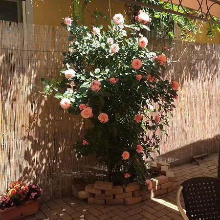 Bed & Breakfast Passeggeri Club House *